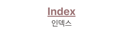 Index 인덱스